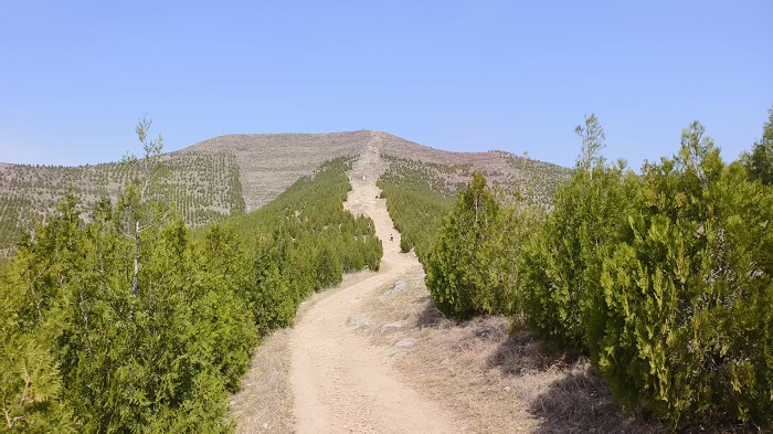 登豐山.jpg