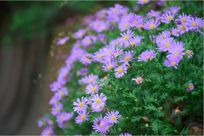 image2.png
